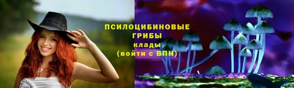 Альфа ПВП Алексеевка