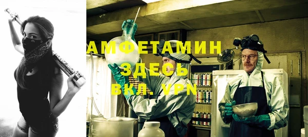 шишки Алексин