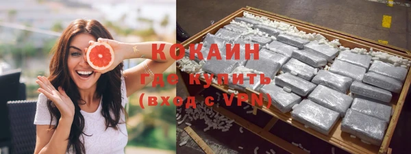 шишки Алексин